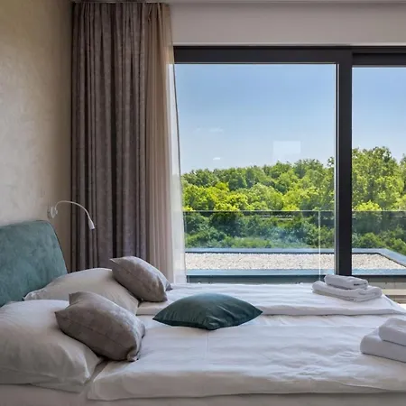 Modern Blanka With Pool And Grill In Tinjan Kringa