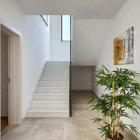 Modern Blanka With Pool And Grill In Tinjan Kringa