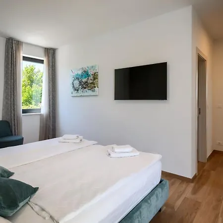 Modern Blanka With Pool And Grill In Tinjan Kringa