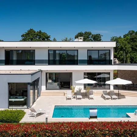 ヴィラ Modern Blanka With Pool And Grill In Tinjan Kringa