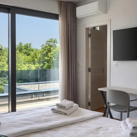 Modern Blanka With Pool And Grill In Tinjan Kringa