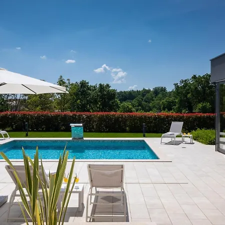 Modern Blanka With Pool And Grill In Tinjan Villa