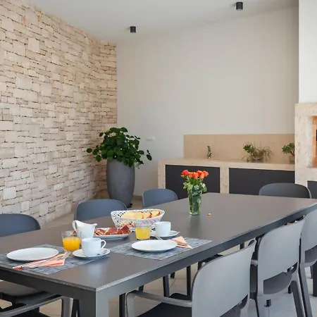 Modern Blanka With Pool And Grill In Tinjan Villa *