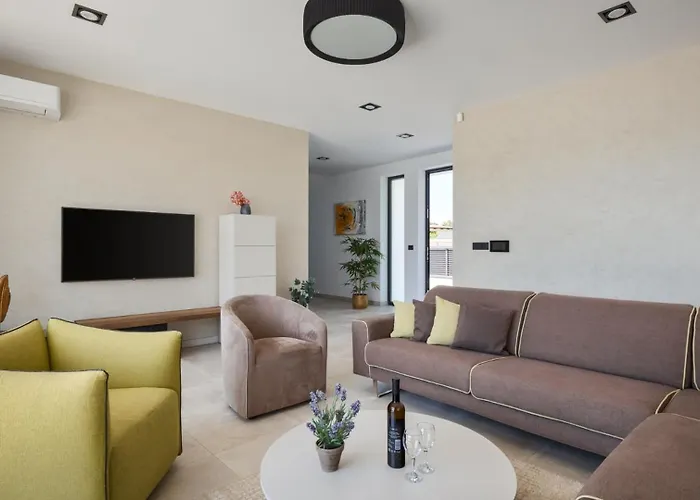 Vila Modern Blanka With Pool And Grill In Tinjan