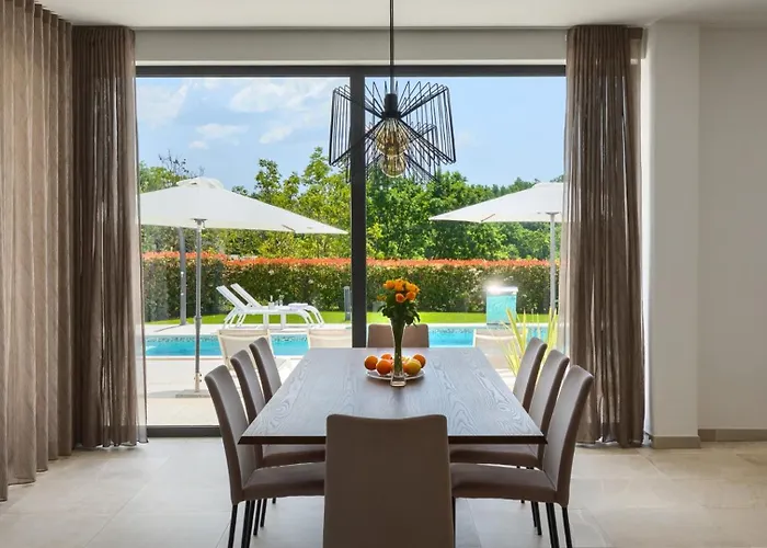 Modern Blanka With Pool And Grill In Tinjan Vila